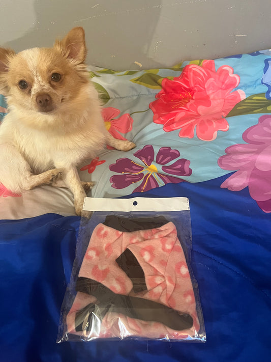 Puppy shirt