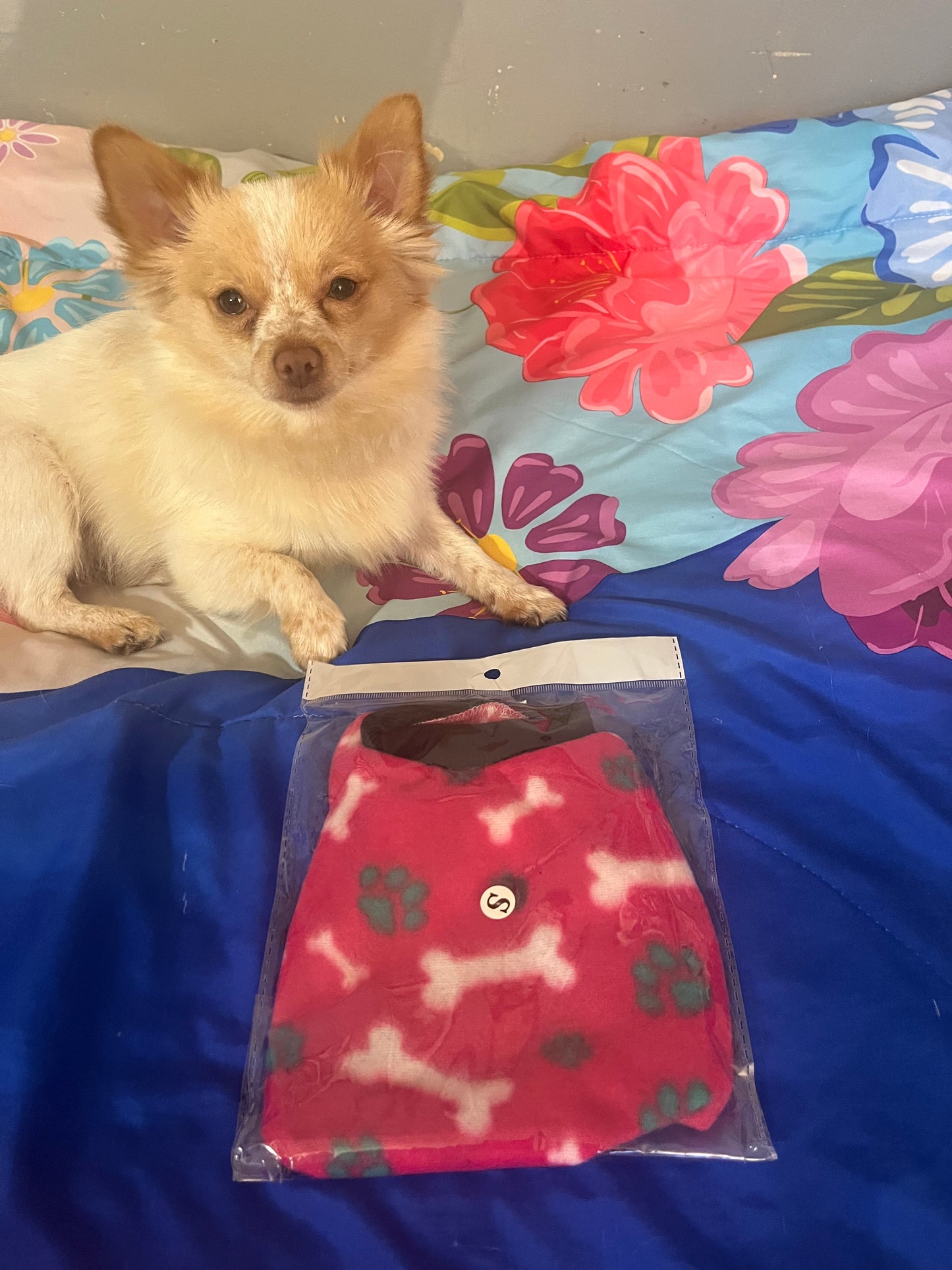 Puppy shirt size s