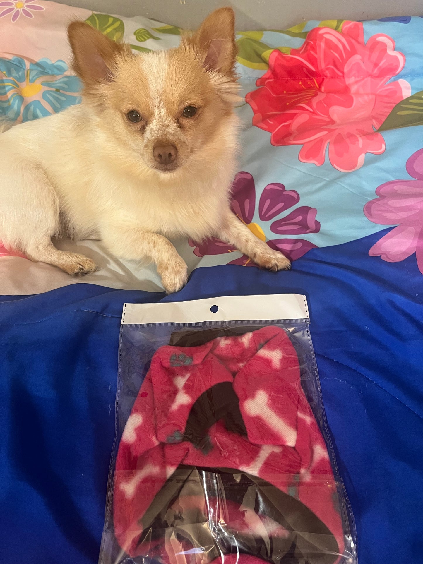 Puppy shirt size s